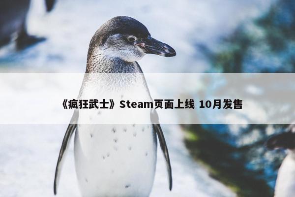 《疯狂武士》Steam页面上线 10月发售