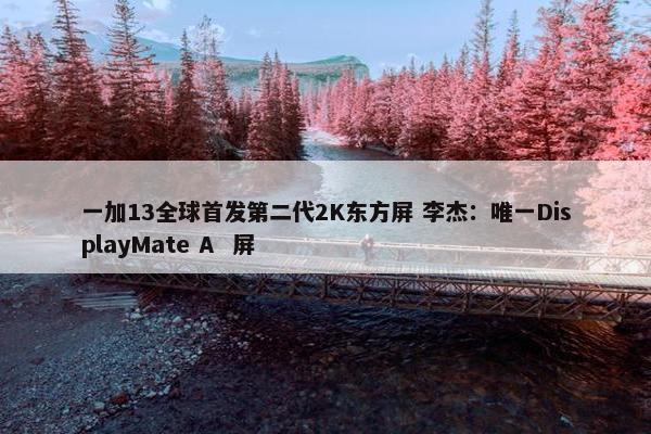 一加13全球首发第二代2K东方屏 李杰：唯一DisplayMate A  屏