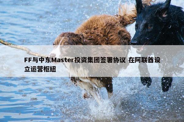 FF与中东Master投资集团签署协议 在阿联酋设立运营枢纽