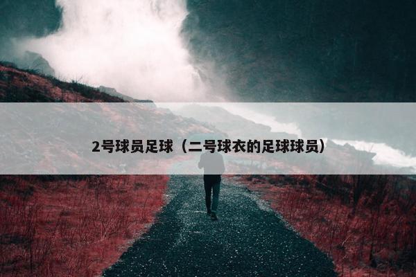 2号球员足球（二号球衣的足球球员）