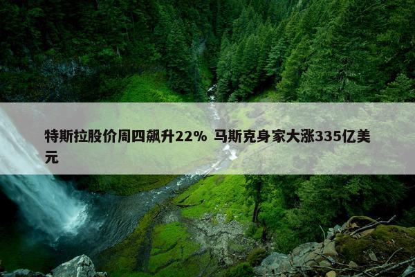 特斯拉股价周四飙升22% 马斯克身家大涨335亿美元