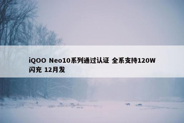 iQOO Neo10系列通过认证 全系支持120W闪充 12月发