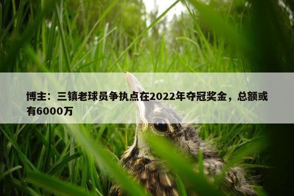 博主：三镇老球员争执点在2022年夺冠奖金，总额或有6000万