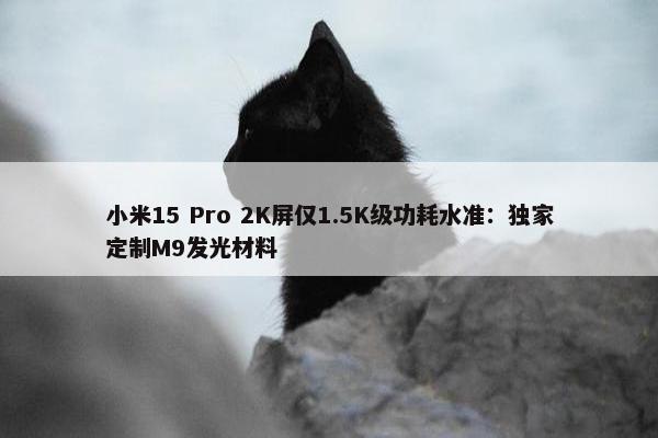 小米15 Pro 2K屏仅1.5K级功耗水准：独家定制M9发光材料