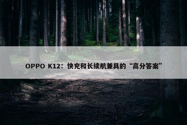 OPPO K12：快充和长续航兼具的“高分答案”