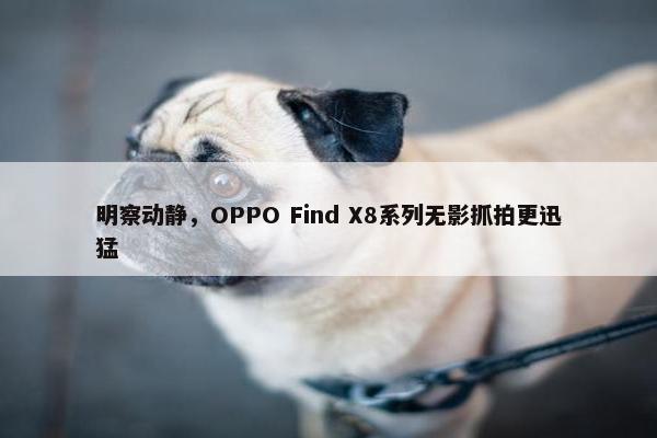 明察动静，OPPO Find X8系列无影抓拍更迅猛