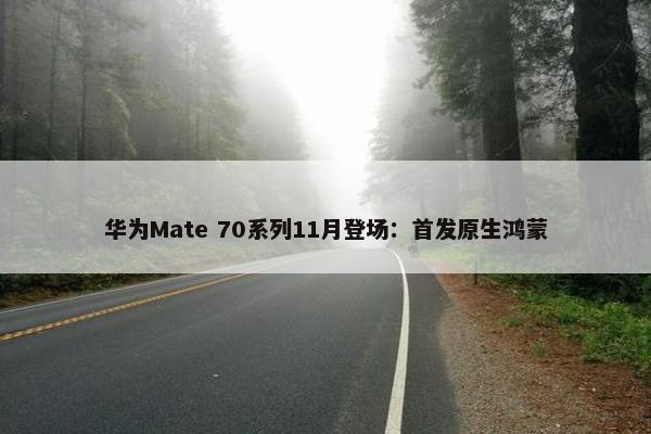 华为Mate 70系列11月登场：首发原生鸿蒙