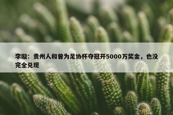 李璇：贵州人和曾为足协杯夺冠开5000万奖金，也没完全兑现