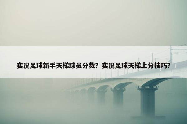 实况足球新手天梯球员分数？实况足球天梯上分技巧？