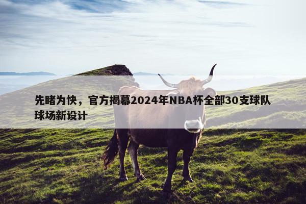 先睹为快，官方揭幕2024年NBA杯全部30支球队球场新设计