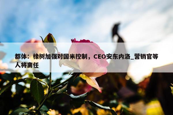 都体：橡树加强对国米控制，CEO安东内洛_营销官等人将离任