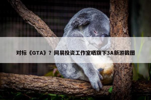 对标《GTA》？网易投资工作室晒旗下3A新游截图