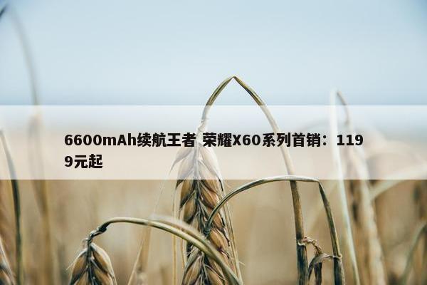 6600mAh续航王者 荣耀X60系列首销：1199元起