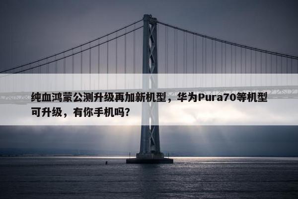 纯血鸿蒙公测升级再加新机型，华为Pura70等机型可升级，有你手机吗？