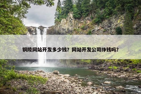 铜陵网站开发多少钱？网站开发公司挣钱吗？