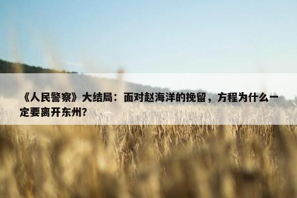 《人民警察》大结局：面对赵海洋的挽留，方程为什么一定要离开东州？