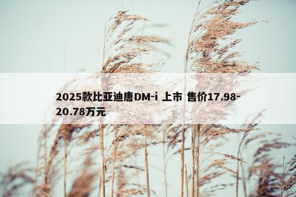 2025款比亚迪唐DM-i 上市 售价17.98-20.78万元