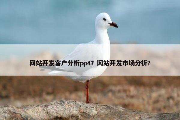 网站开发客户分析ppt？网站开发市场分析？