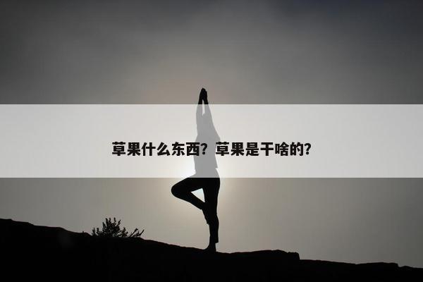 草果什么东西？草果是干啥的？