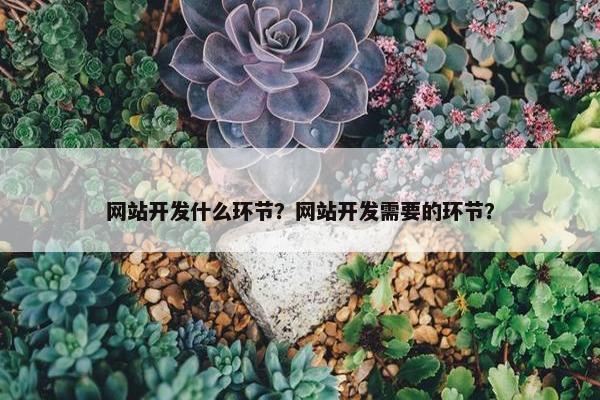 网站开发什么环节？网站开发需要的环节？