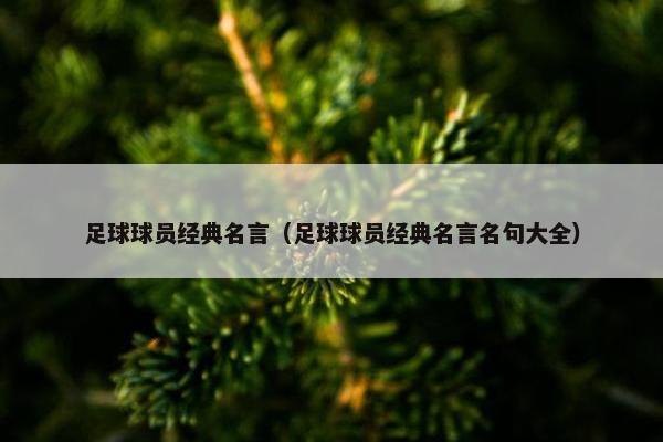 足球球员经典名言（足球球员经典名言名句大全）