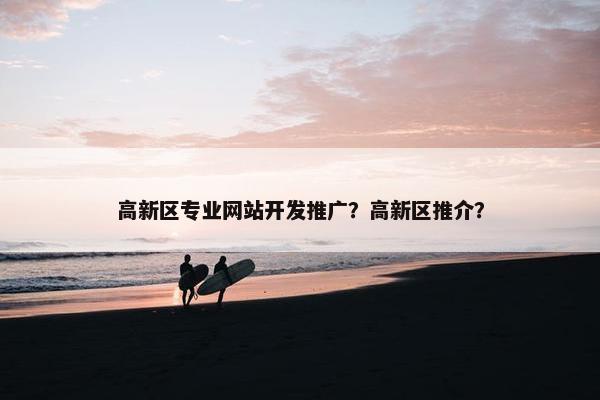 高新区专业网站开发推广？高新区推介？