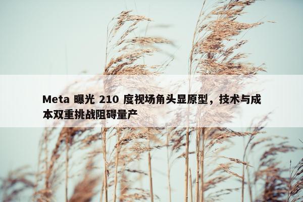 Meta 曝光 210 度视场角头显原型，技术与成本双重挑战阻碍量产