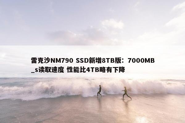 雷克沙NM790 SSD新增8TB版：7000MB_s读取速度 性能比4TB略有下降