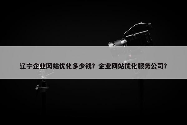 辽宁企业网站优化多少钱？企业网站优化服务公司？