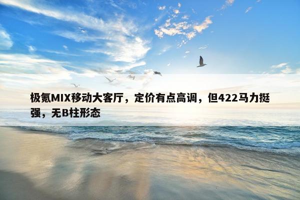 极氪MIX移动大客厅，定价有点高调，但422马力挺强，无B柱形态