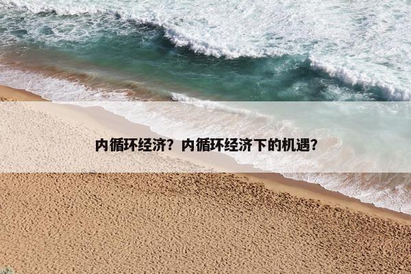 内循环经济？内循环经济下的机遇？