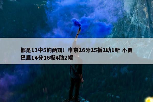 都是13中5的两双！申京16分15板2助1断 小贾巴里14分16板4助2帽