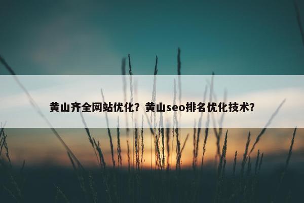 黄山齐全网站优化？黄山seo排名优化技术？