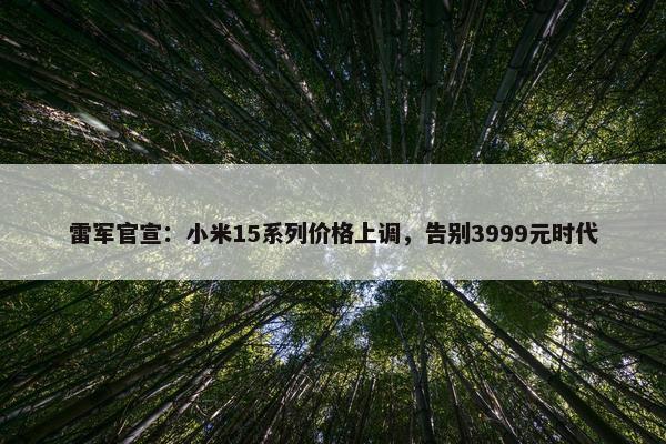 雷军官宣：小米15系列价格上调，告别3999元时代