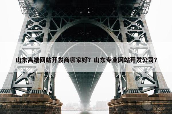 山东高端网站开发商哪家好？山东专业网站开发公司？