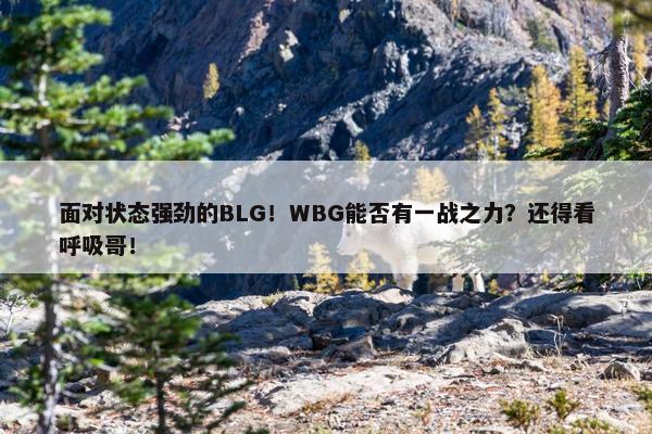 面对状态强劲的BLG！WBG能否有一战之力？还得看呼吸哥！