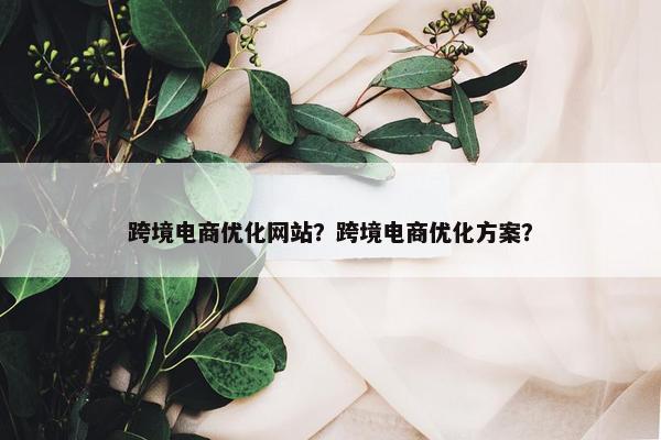 跨境电商优化网站？跨境电商优化方案？