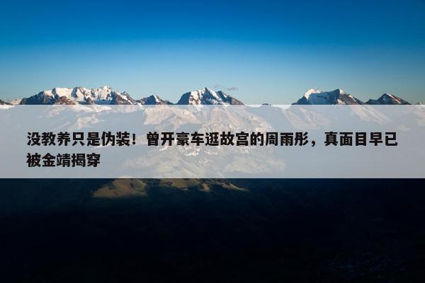 没教养只是伪装！曾开豪车逛故宫的周雨彤，真面目早已被金靖揭穿