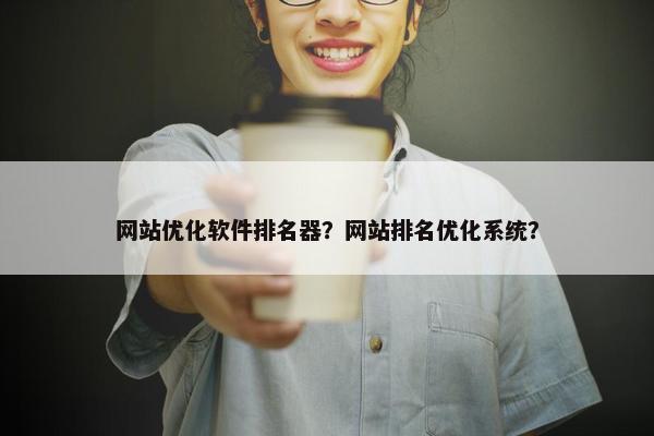 网站优化软件排名器？网站排名优化系统？