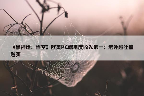 《黑神话：悟空》欧美PC端季度收入第一：老外越吐槽越买