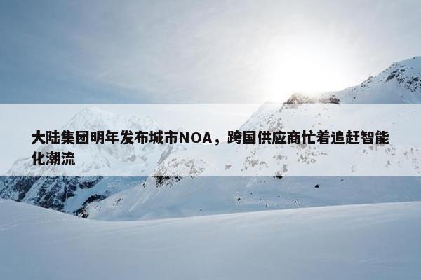 大陆集团明年发布城市NOA，跨国供应商忙着追赶智能化潮流