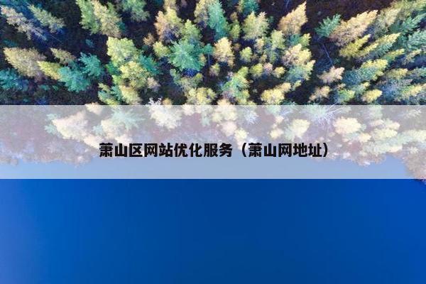 萧山区网站优化服务（萧山网地址）