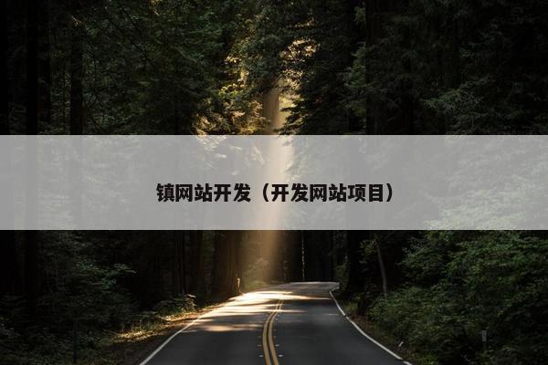 镇网站开发（开发网站项目）