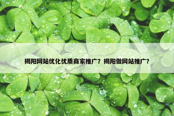 揭阳网站优化优质商家推广？揭阳做网站推广？