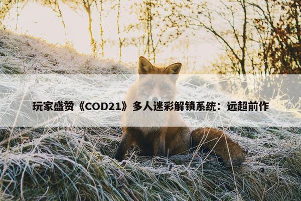 玩家盛赞《COD21》多人迷彩解锁系统：远超前作