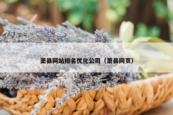 萧县网站排名优化公司（萧县网页）