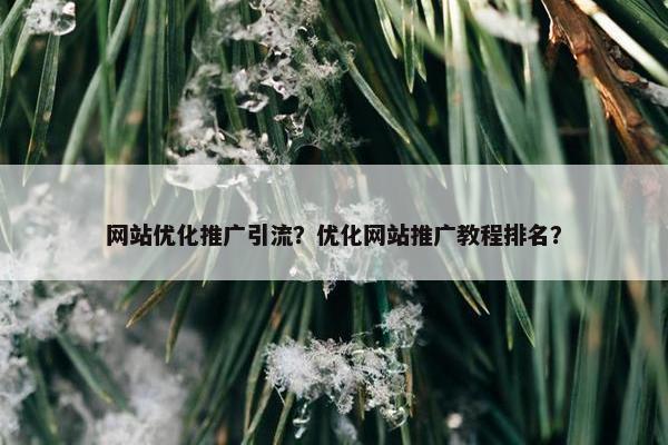 网站优化推广引流？优化网站推广教程排名？