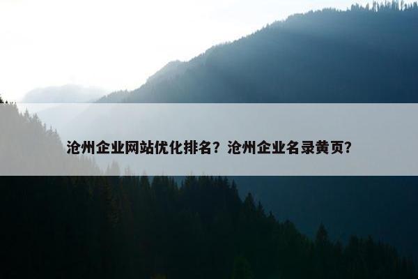 沧州企业网站优化排名？沧州企业名录黄页？