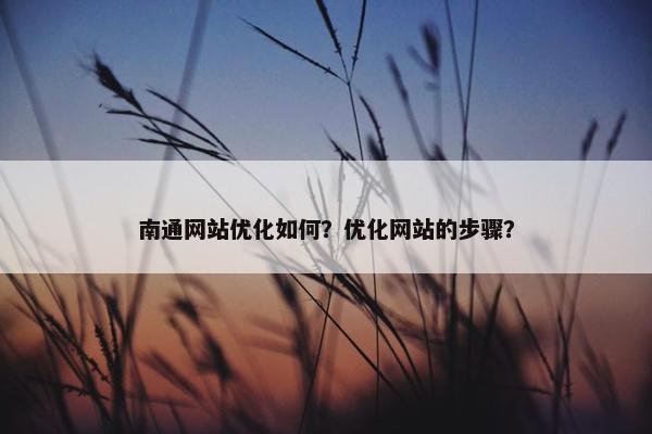 南通网站优化如何？优化网站的步骤？