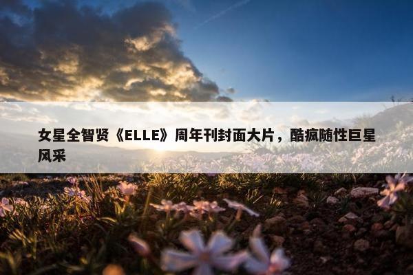 女星全智贤《ELLE》周年刊封面大片，酷疯随性巨星风采